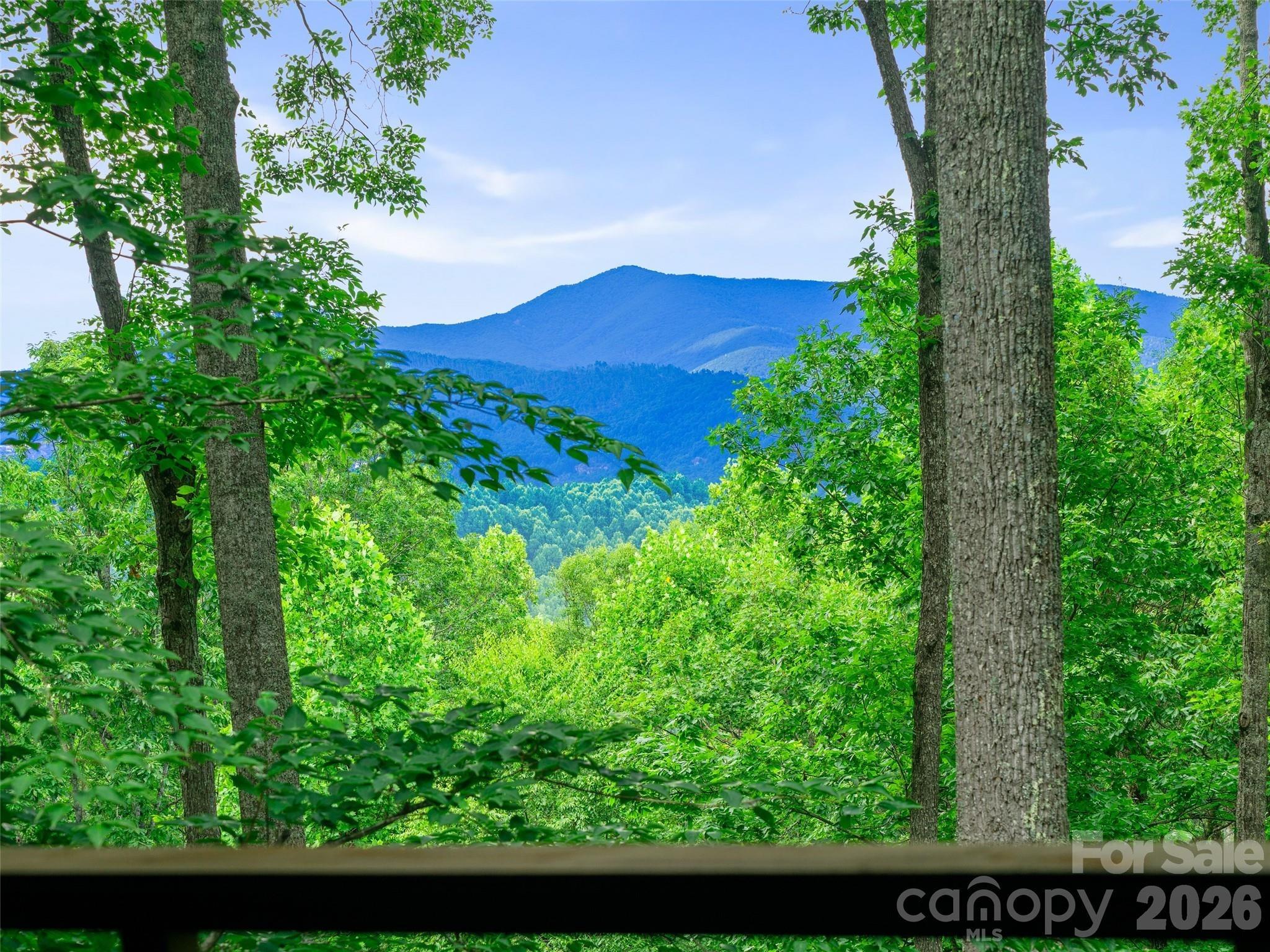 Chestnut Hill Rd, Spruce Pine, NC 28777
