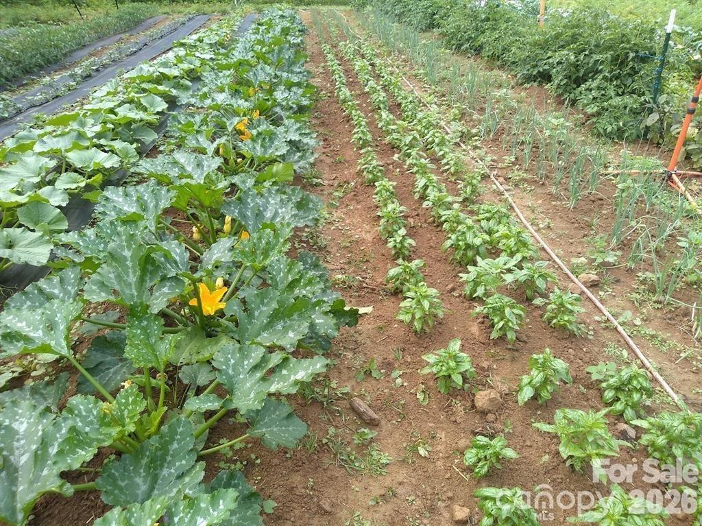 Lumptown Rd, Marshall, NC 28753