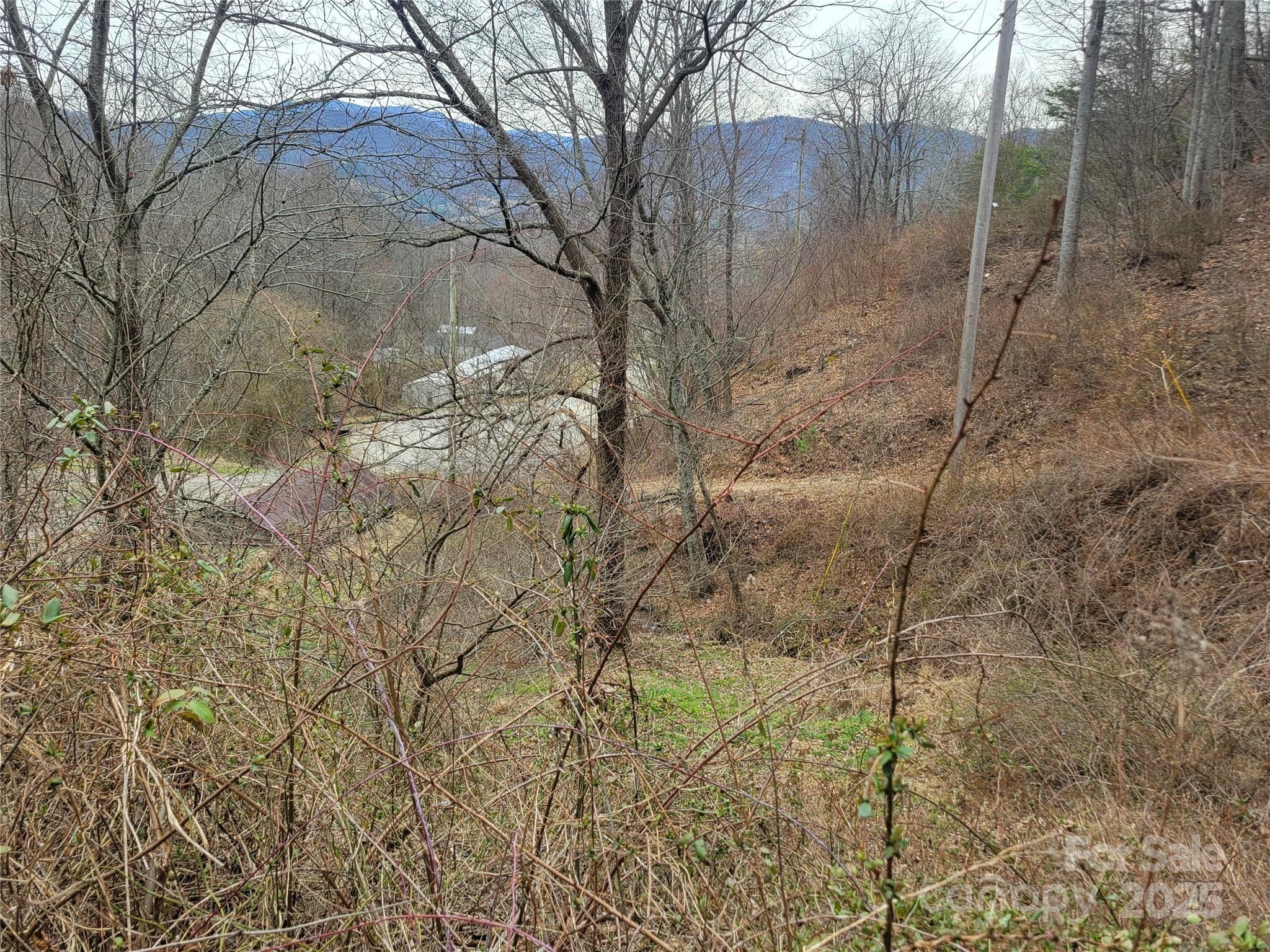 Chambers Mountain Rd, Clyde, NC 28721
