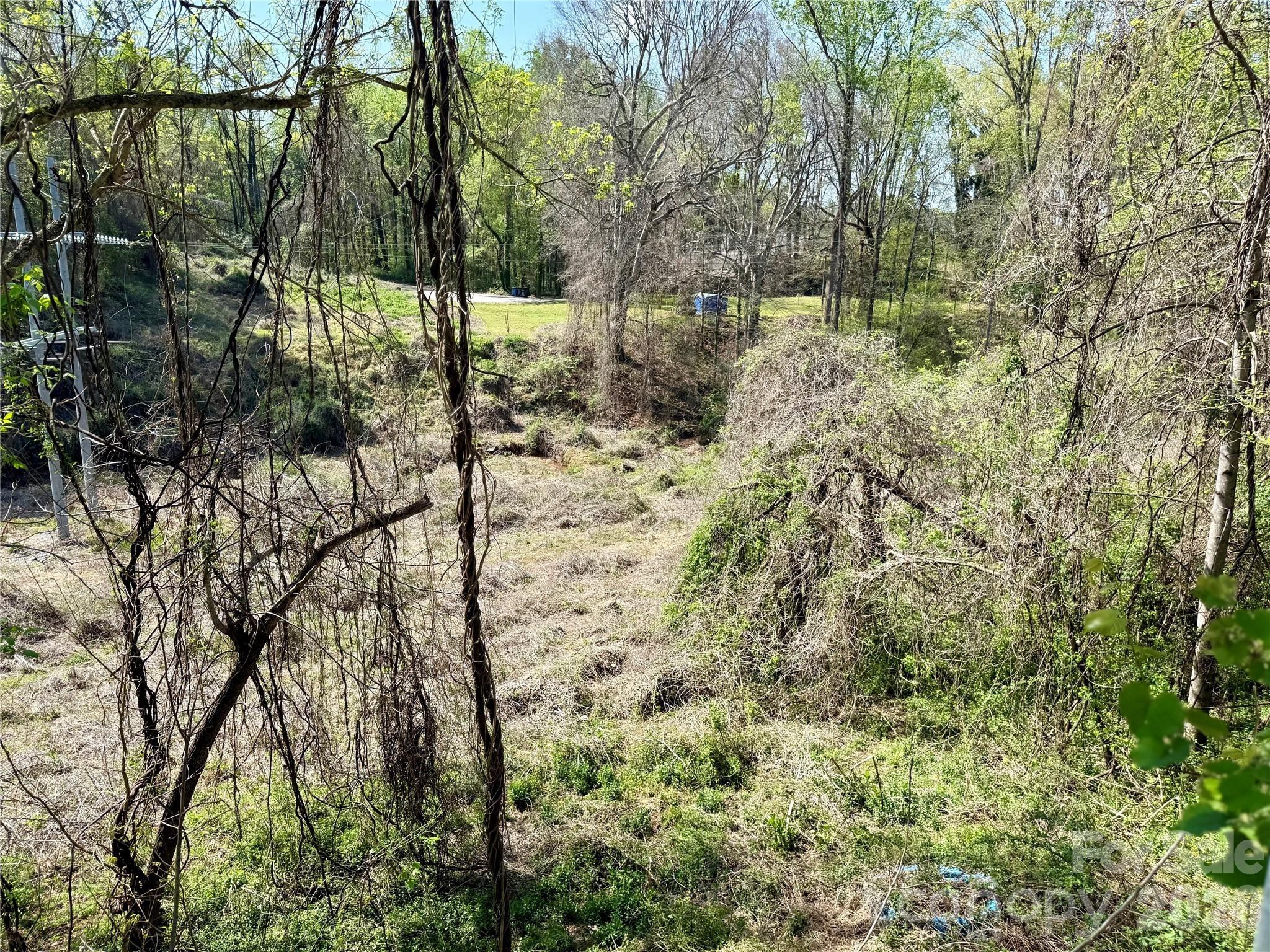 Branch St, Rutherfordton, NC 28139