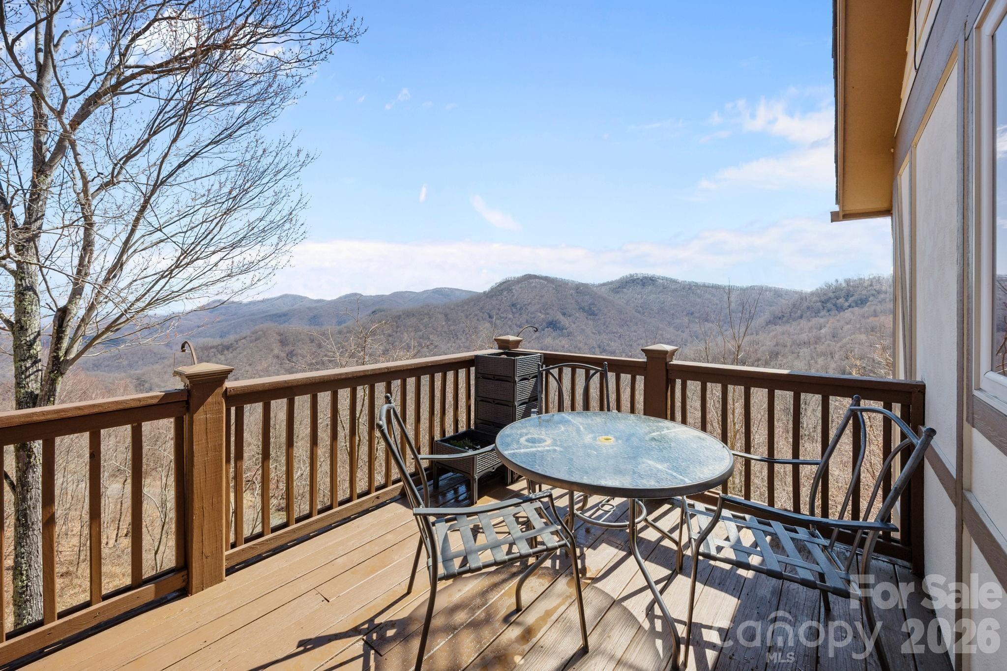 Lila Ln, Clyde, NC 28721