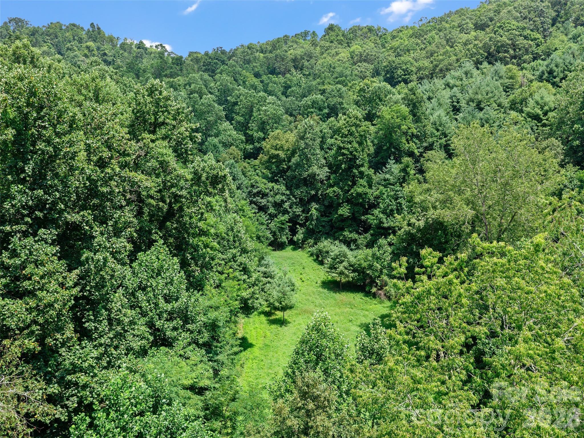 Langford Branch Rd, Burnsville, NC 28714