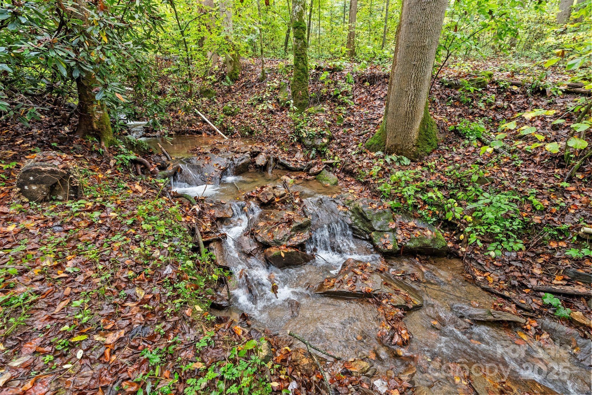 Henry Dingus Way, Maggie Valley, NC 28751