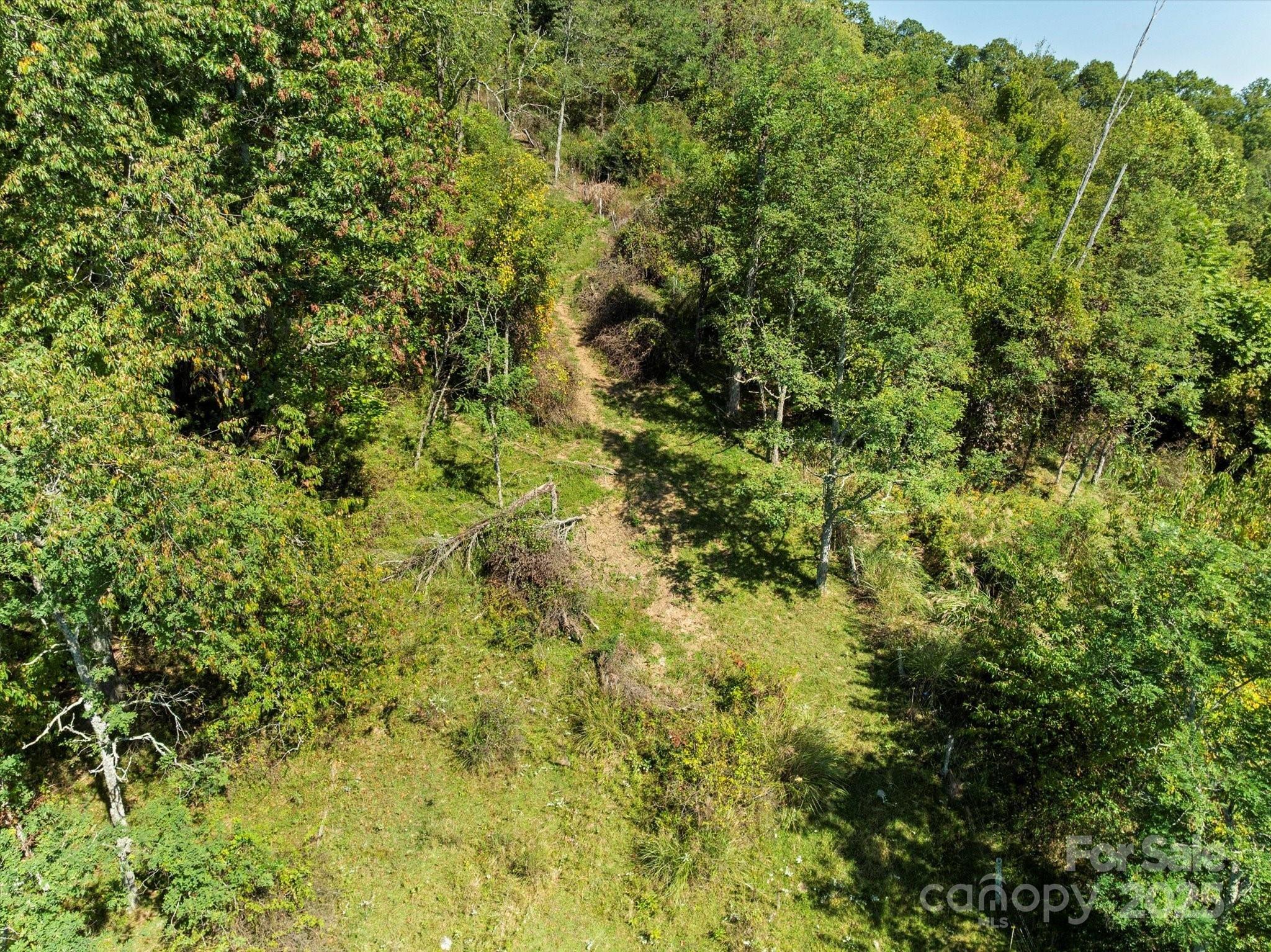 Ammons Branch Rd, Marshall, NC 28753