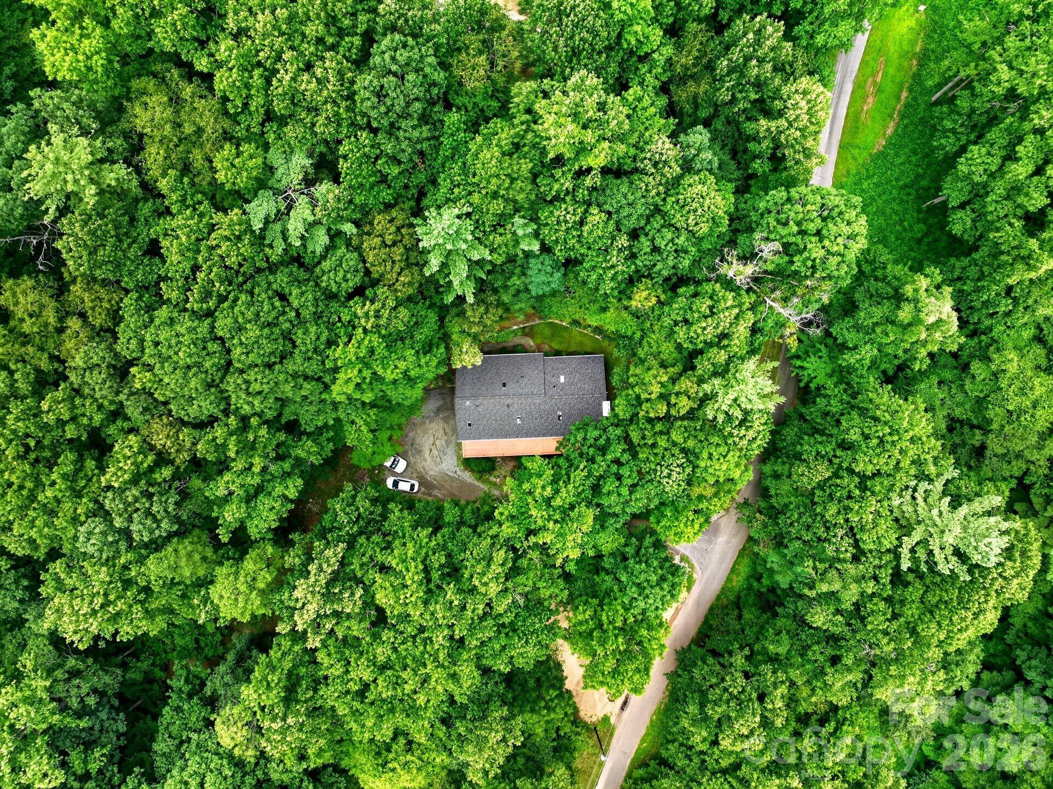Beech Tree Ln, Asheville, NC 28804