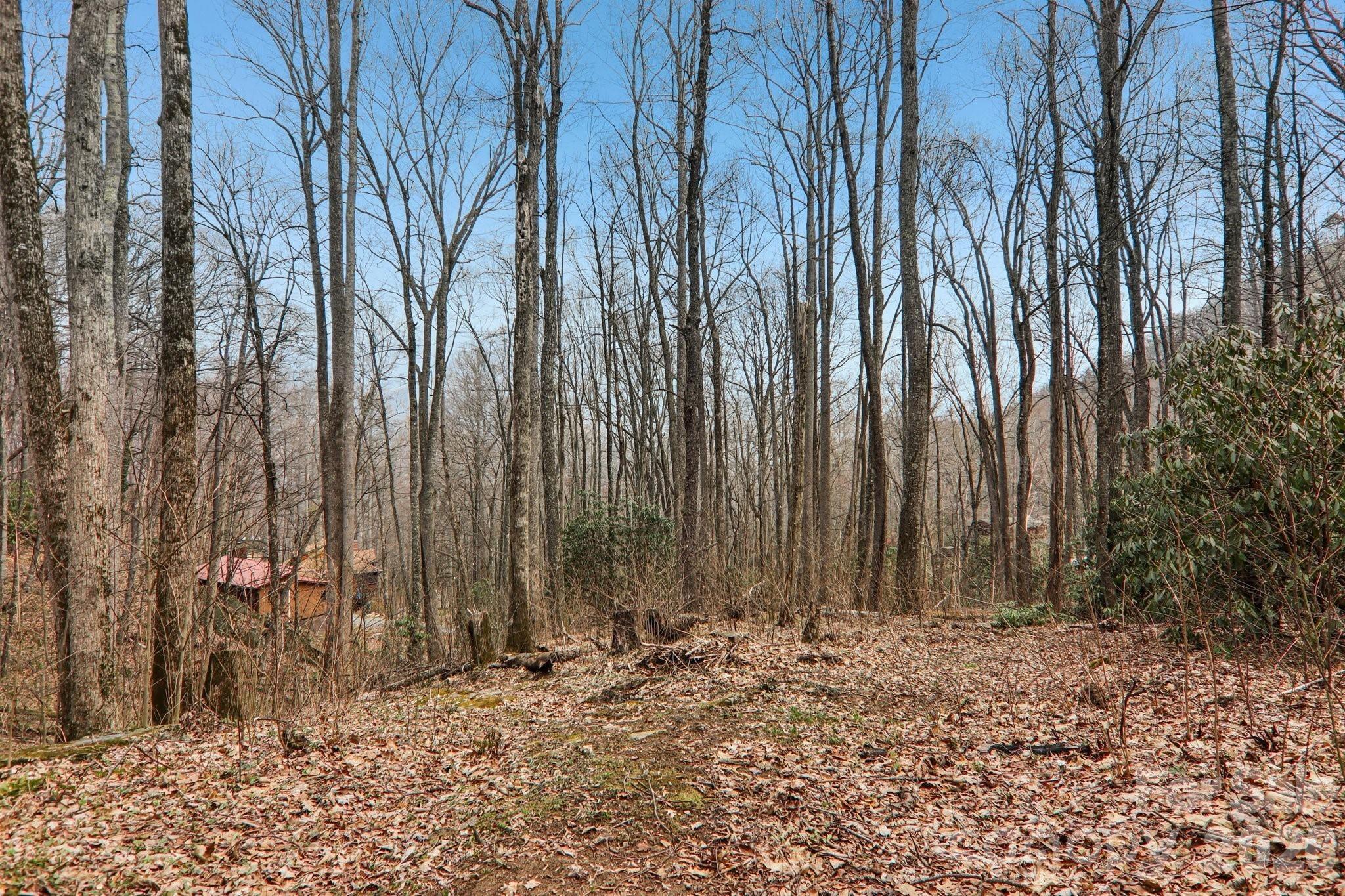 Fernbrook Rd, Maggie Valley, NC 28751