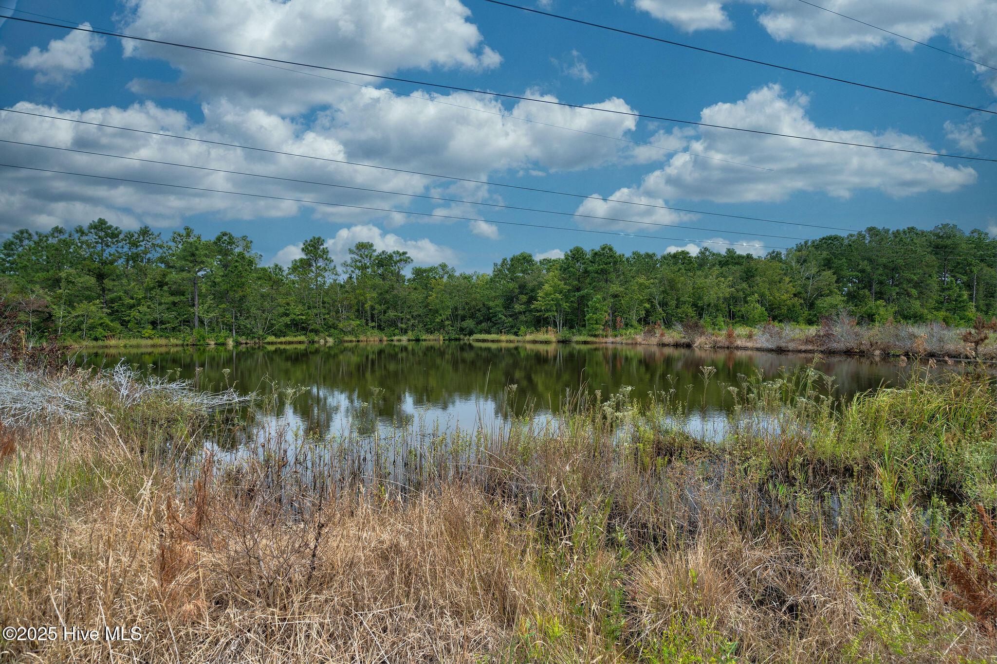 Exton Park Loop, Castle Hayne, NC 28429