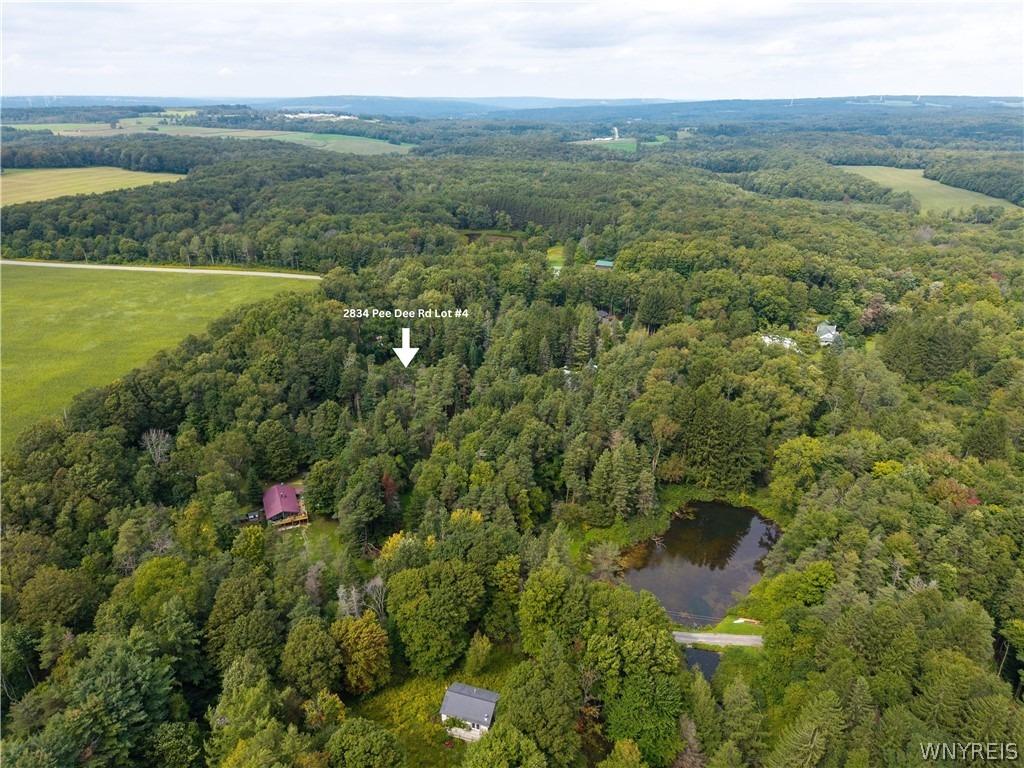 Pee Dee Rd, Bliss, NY 14024