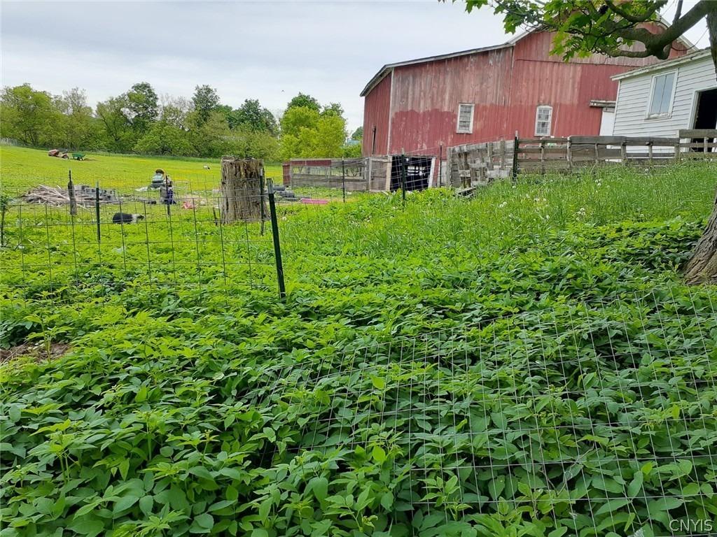 State Route 392, Cortland, NY 13045