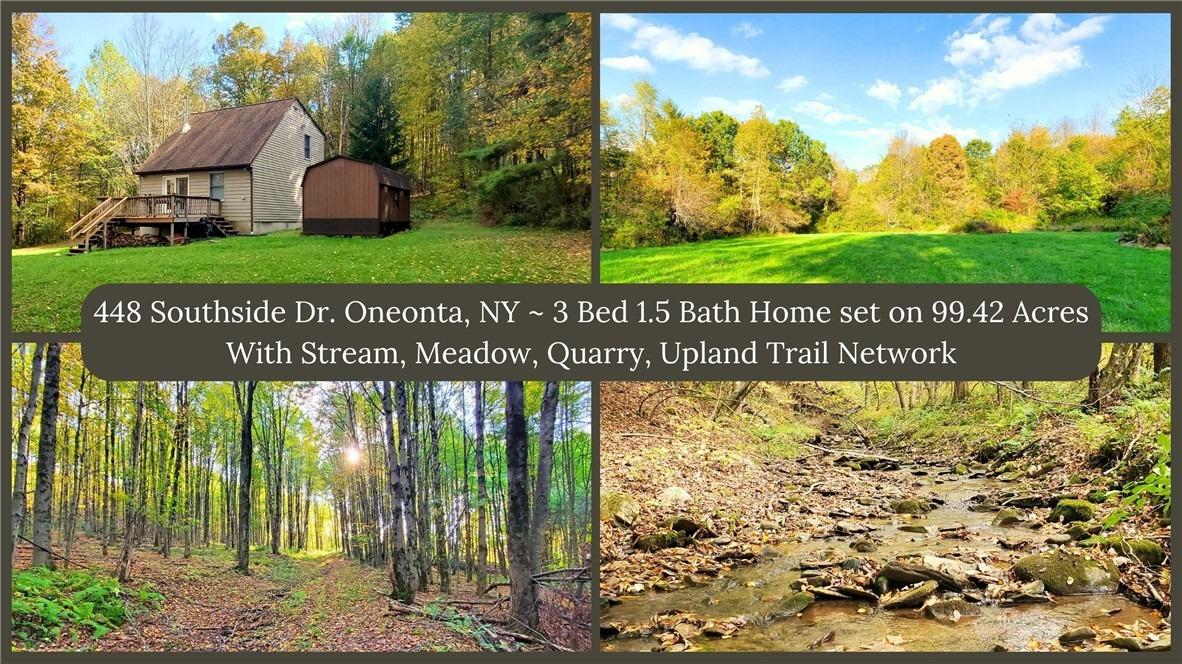 Southside Dr, Oneonta, NY 13820