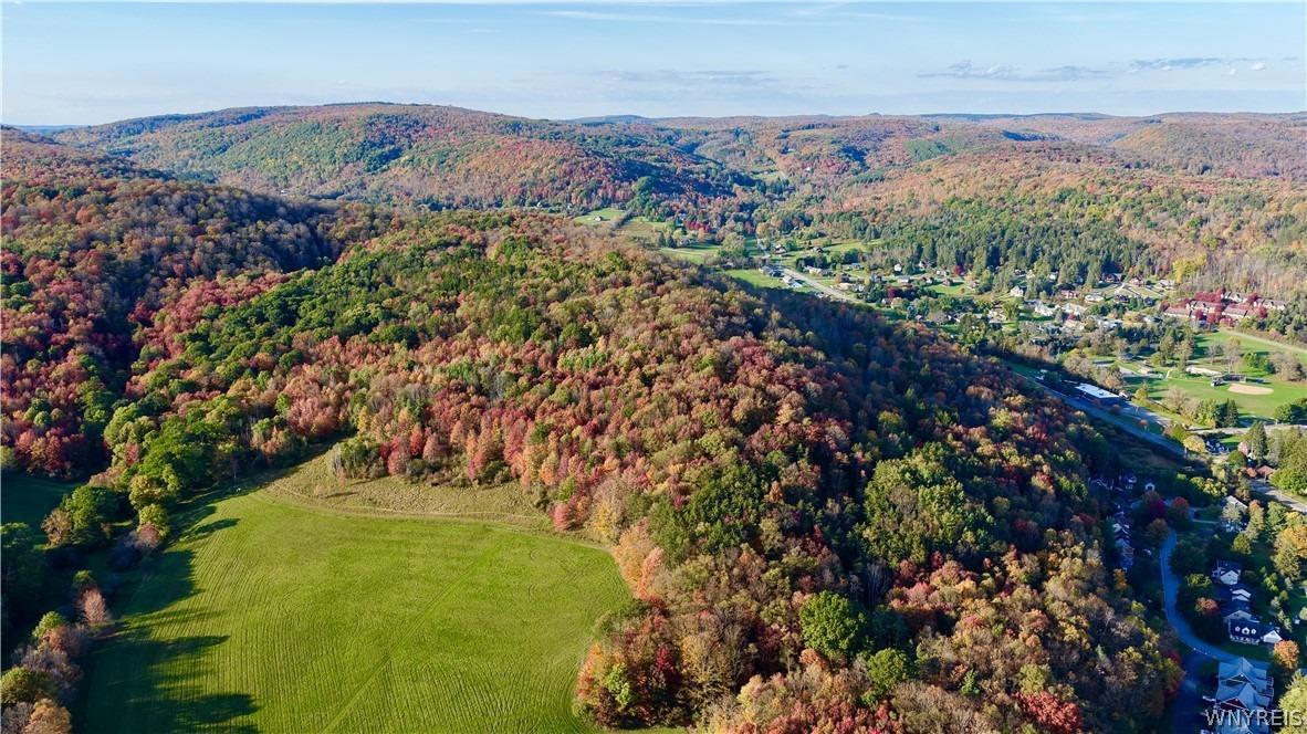 W Washington St, Ellicottville, NY 14731