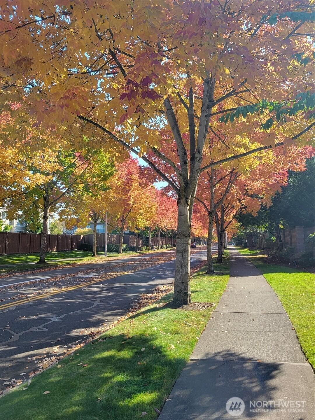 Francis Loop Se, Auburn, WA 98092