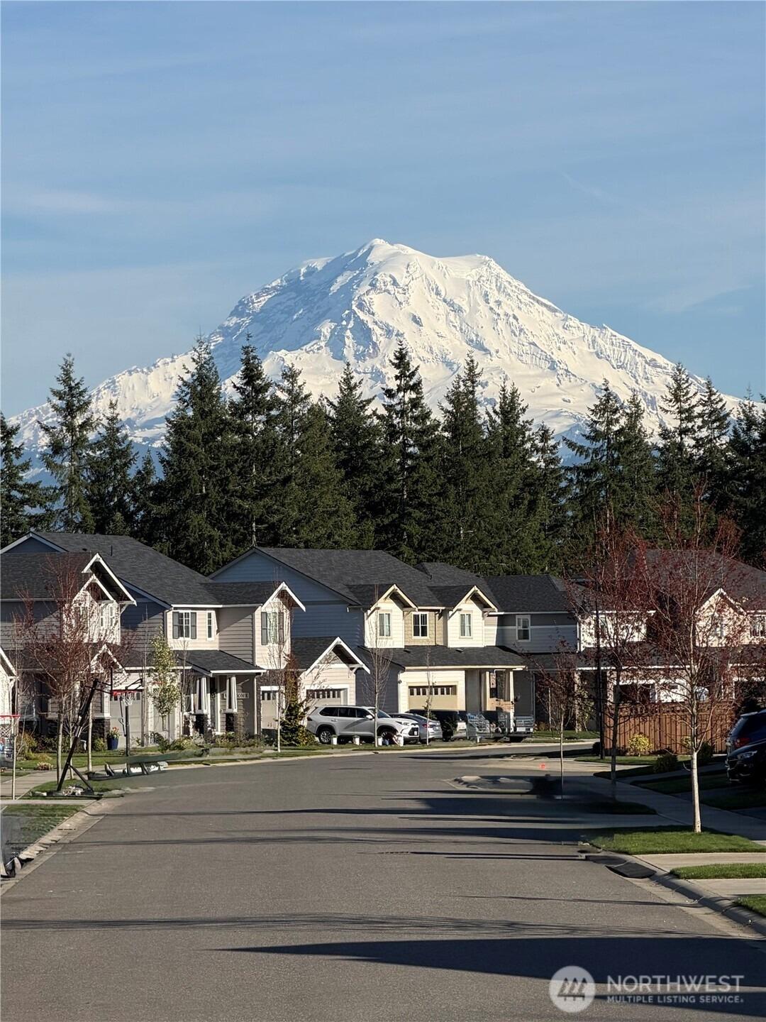 196th Ave E, Bonney Lake, WA 98391