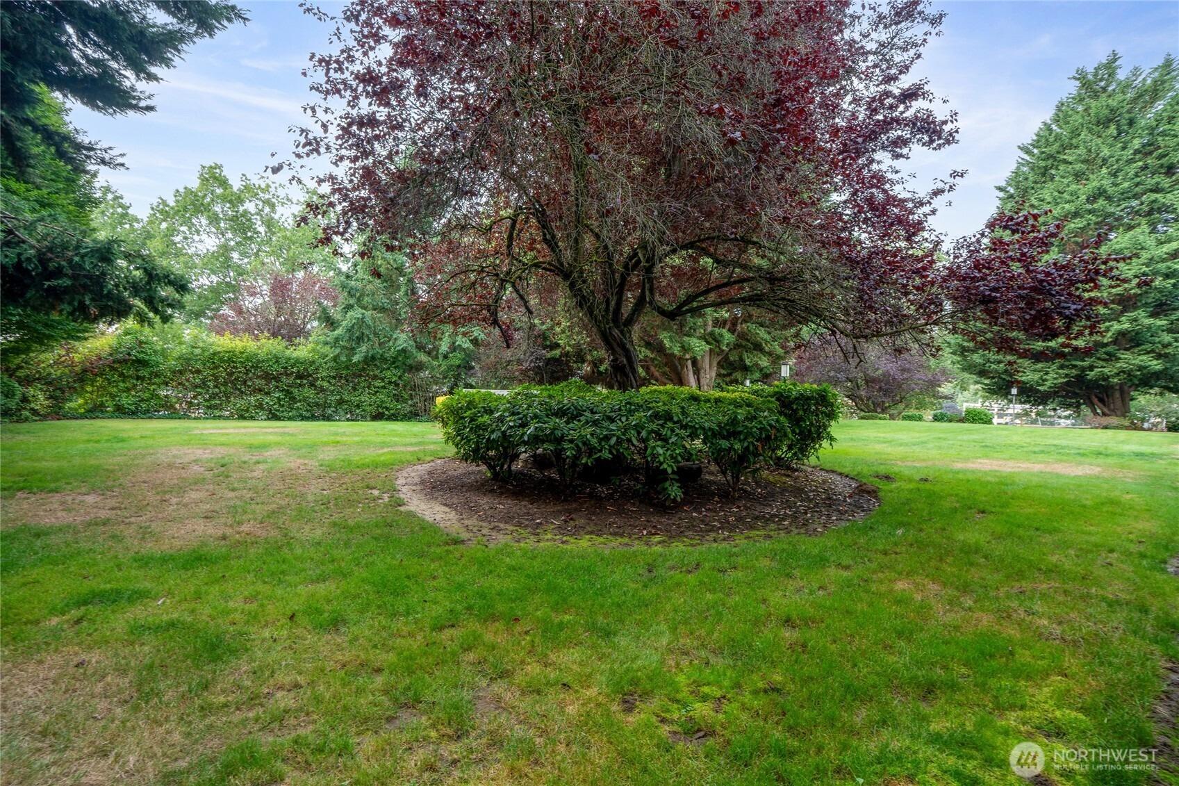 Macadam Rd S, Tukwila, WA 98188
