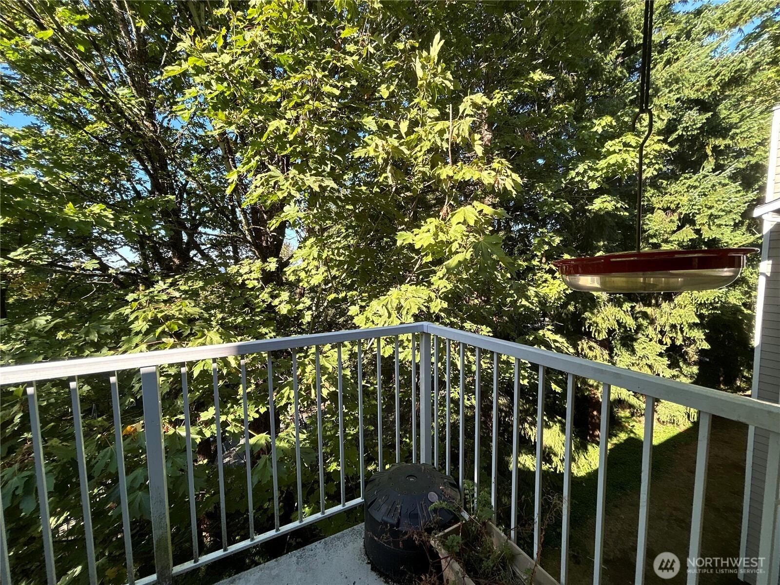 Se 43rd Ct, Bellevue, WA 98006