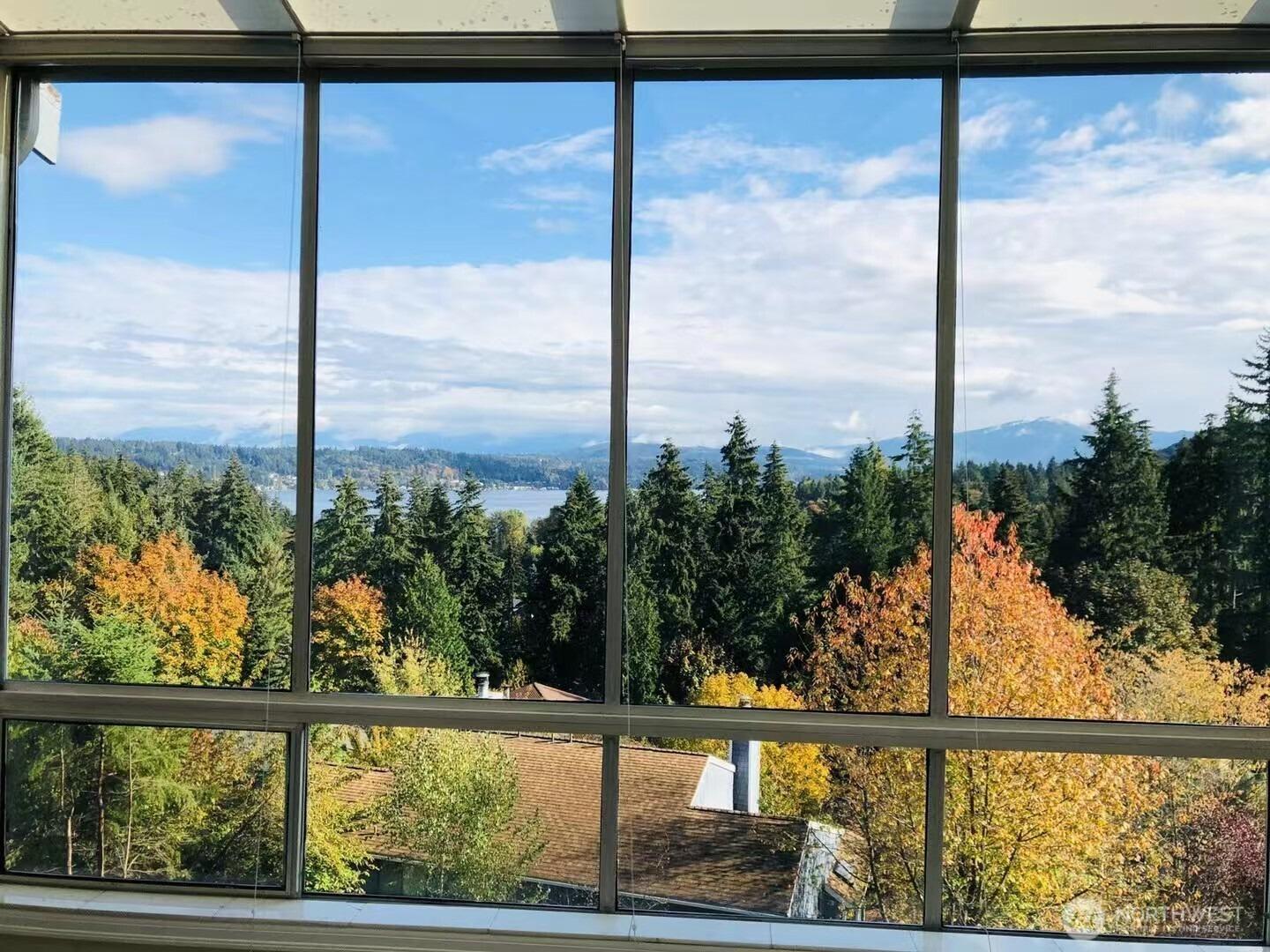161st Ct Se, Bellevue, WA 98008