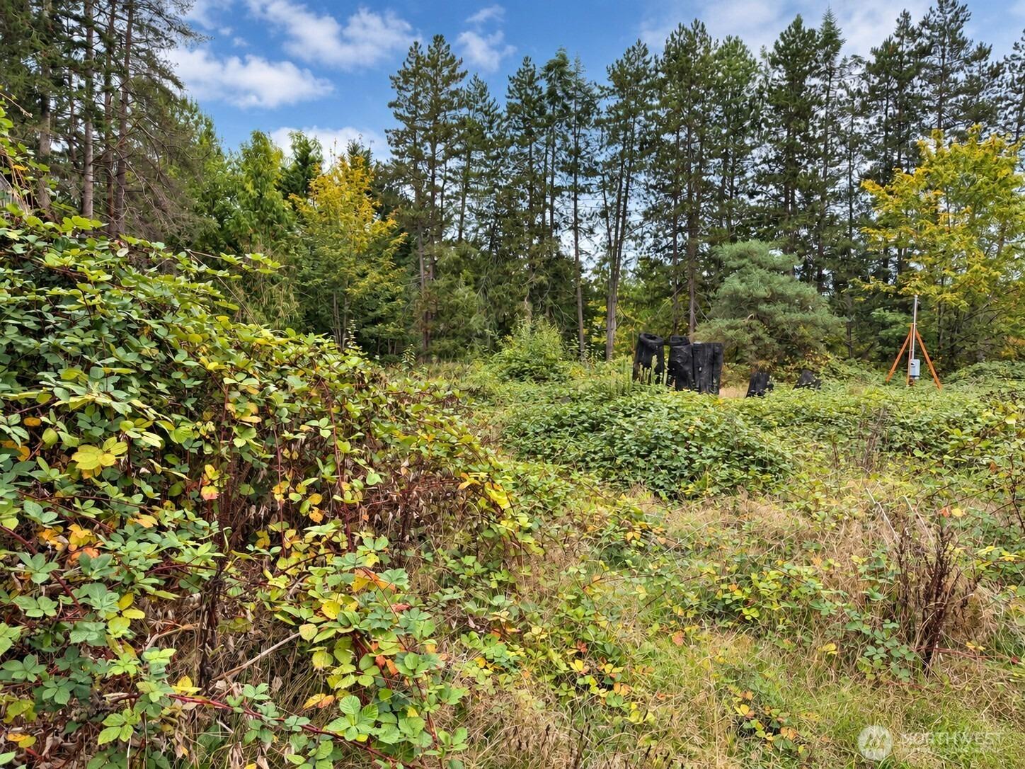 Byers Rd Se, Maple Valley, WA 98038