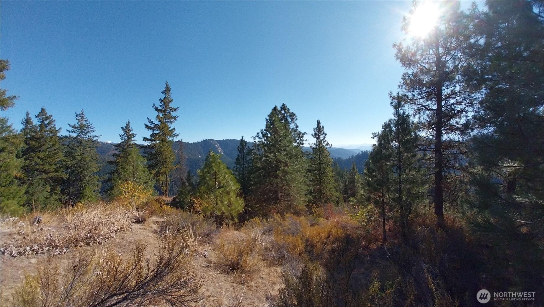 Sunitsch Canyon Rd, Leavenworth, WA 98826