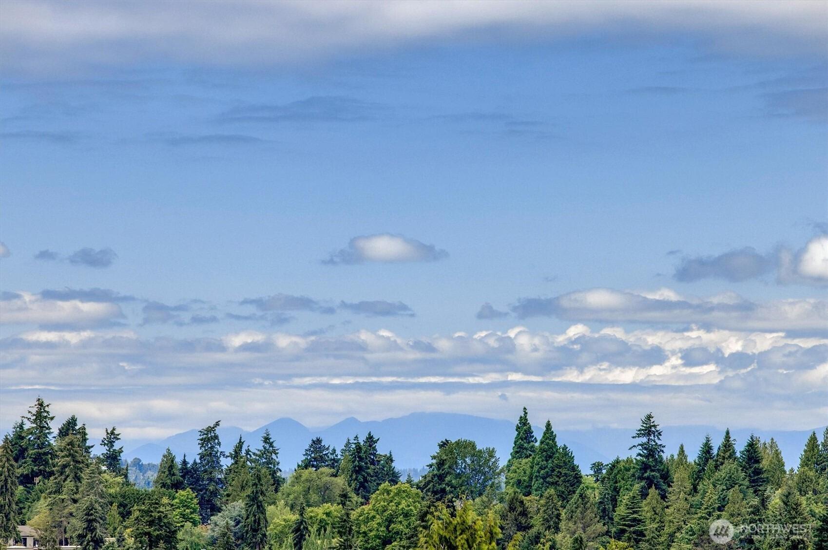 Ne 16th St, Clyde Hill, WA 98004