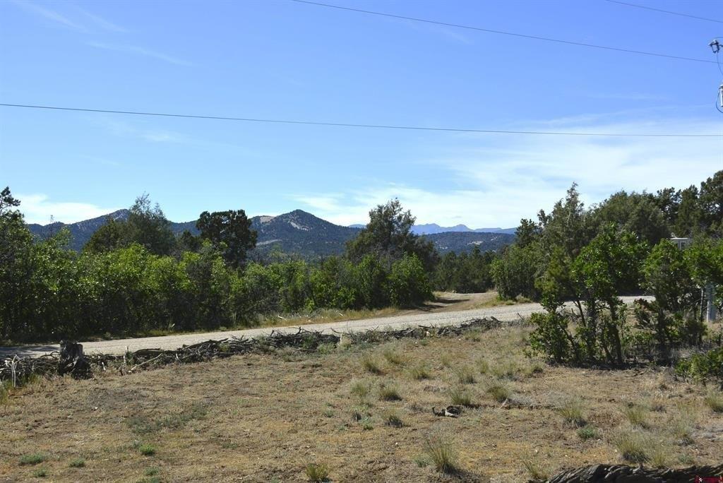 Pine Ridge Rd, Durango, CO 81301