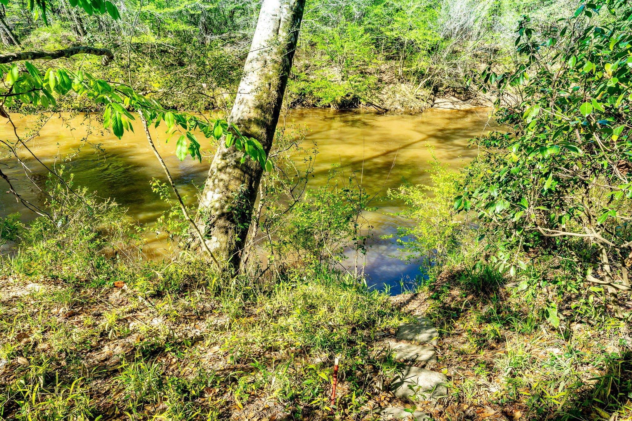Turkey Pine Dr, Hattiesburg, MS 39401