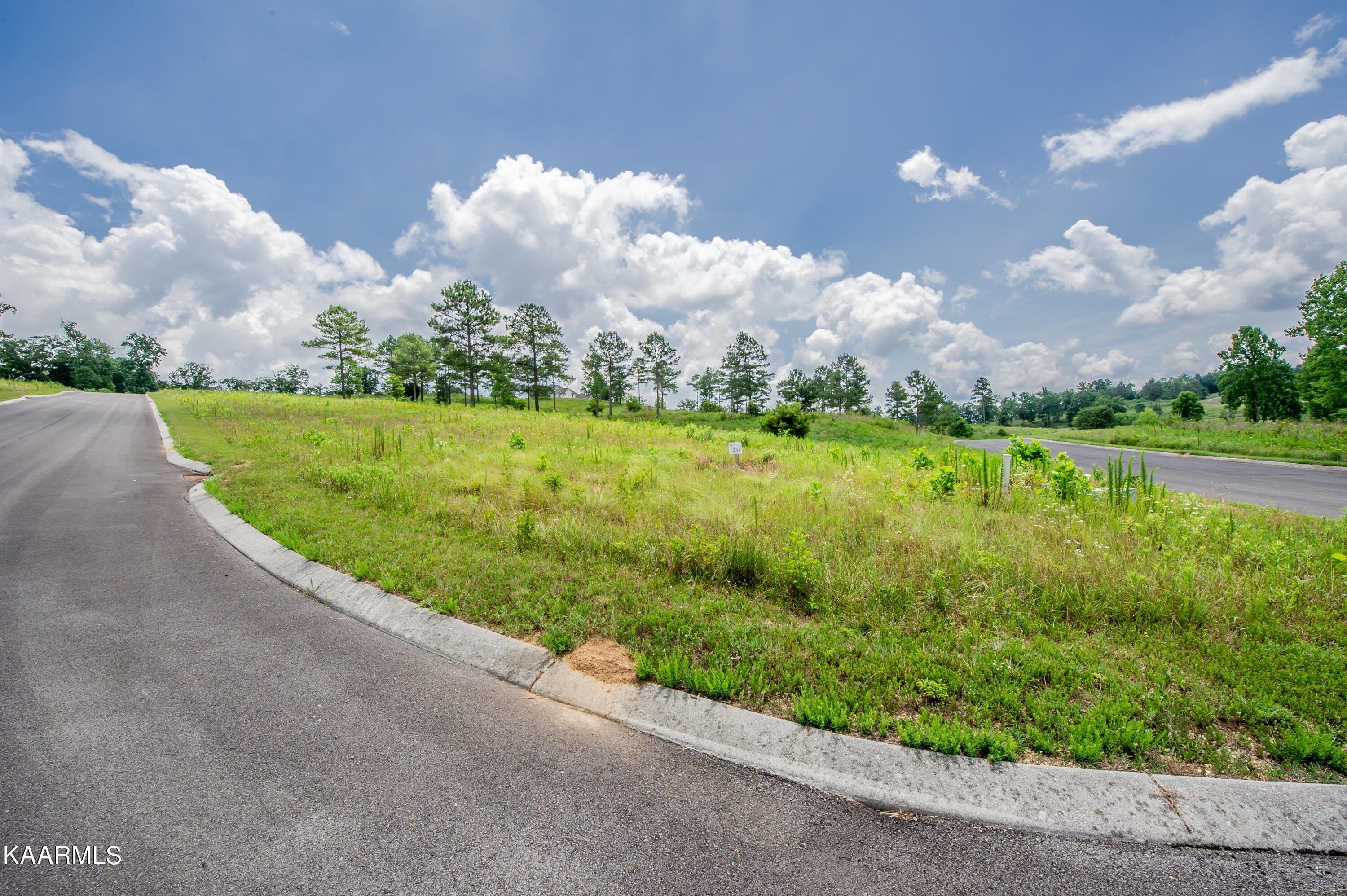 Twin Lakes Dr, Loudon, TN 37774