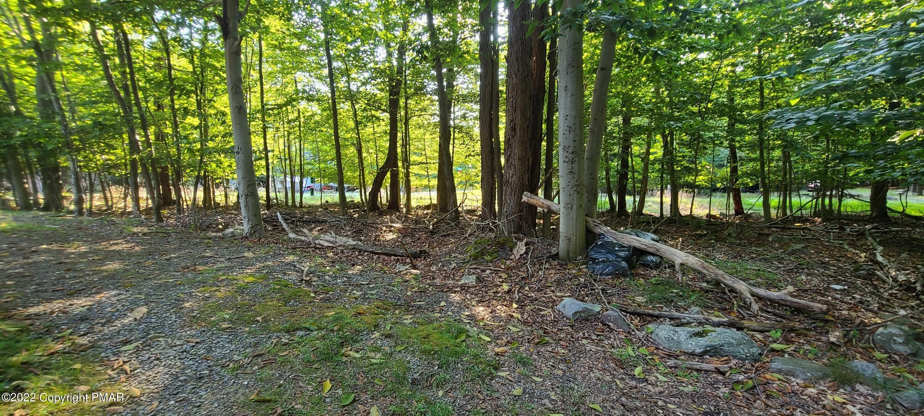 Bear Trail Dr, Tobyhanna, PA 18466