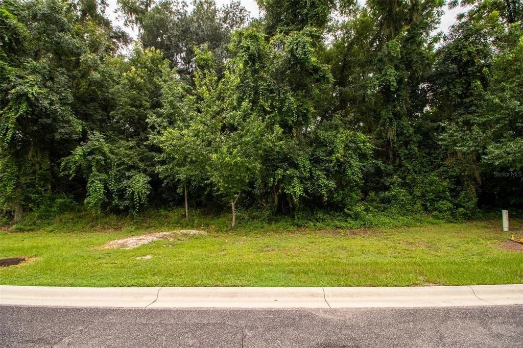 Sanctuary Golf Pl, Apopka, FL 32712