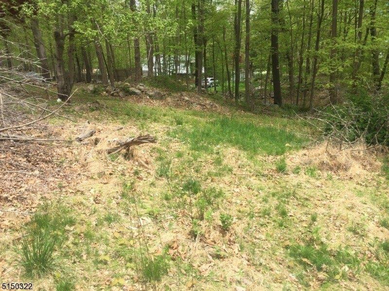 Amity Rd, Byram Township, NJ 07821
