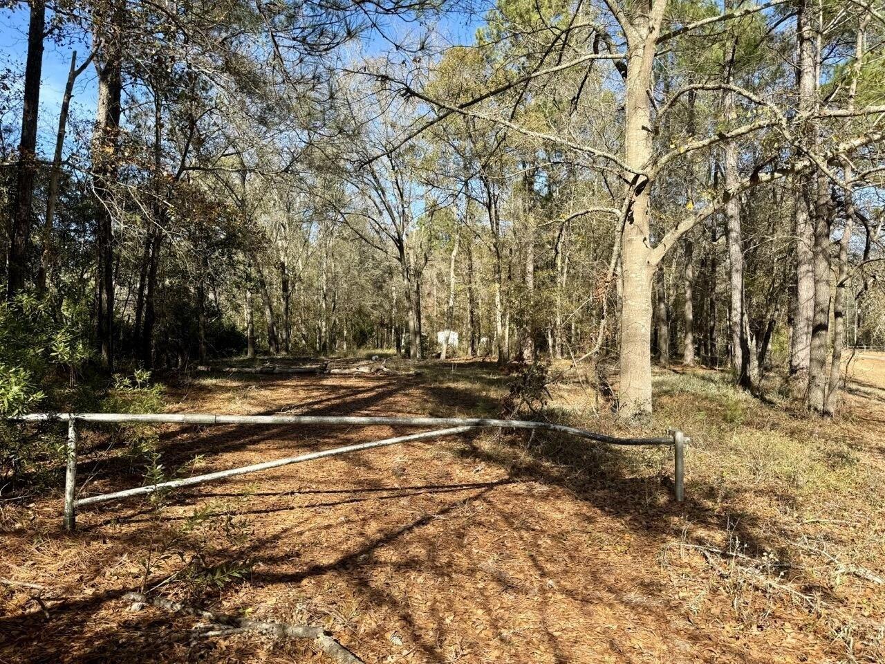 Blue King Dr, Cross, SC 29436
