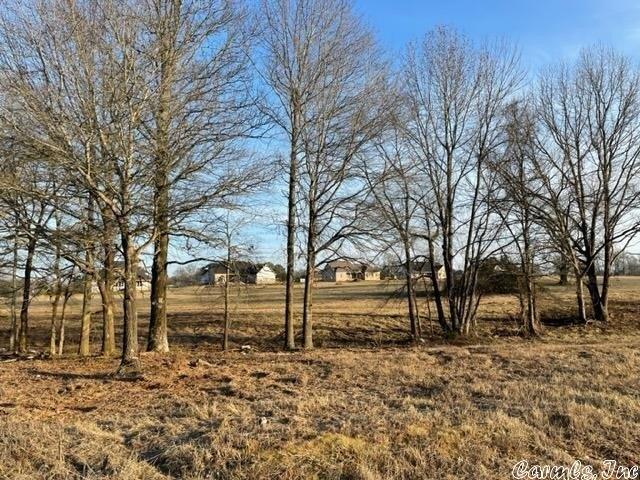 Irene Cir, Greenbrier, AR 72058