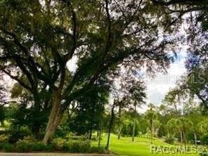 Sw 179th Court Rd, Dunnellon, FL 34432