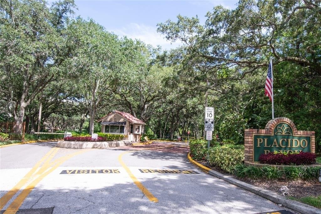 Sand Pine Dr Ne, Saint Petersburg, FL 33703