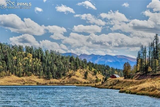 Pinewood Cir, Divide, CO 80814