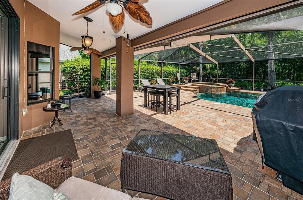 Laurelwood Ct, Tarpon Springs, FL 34688