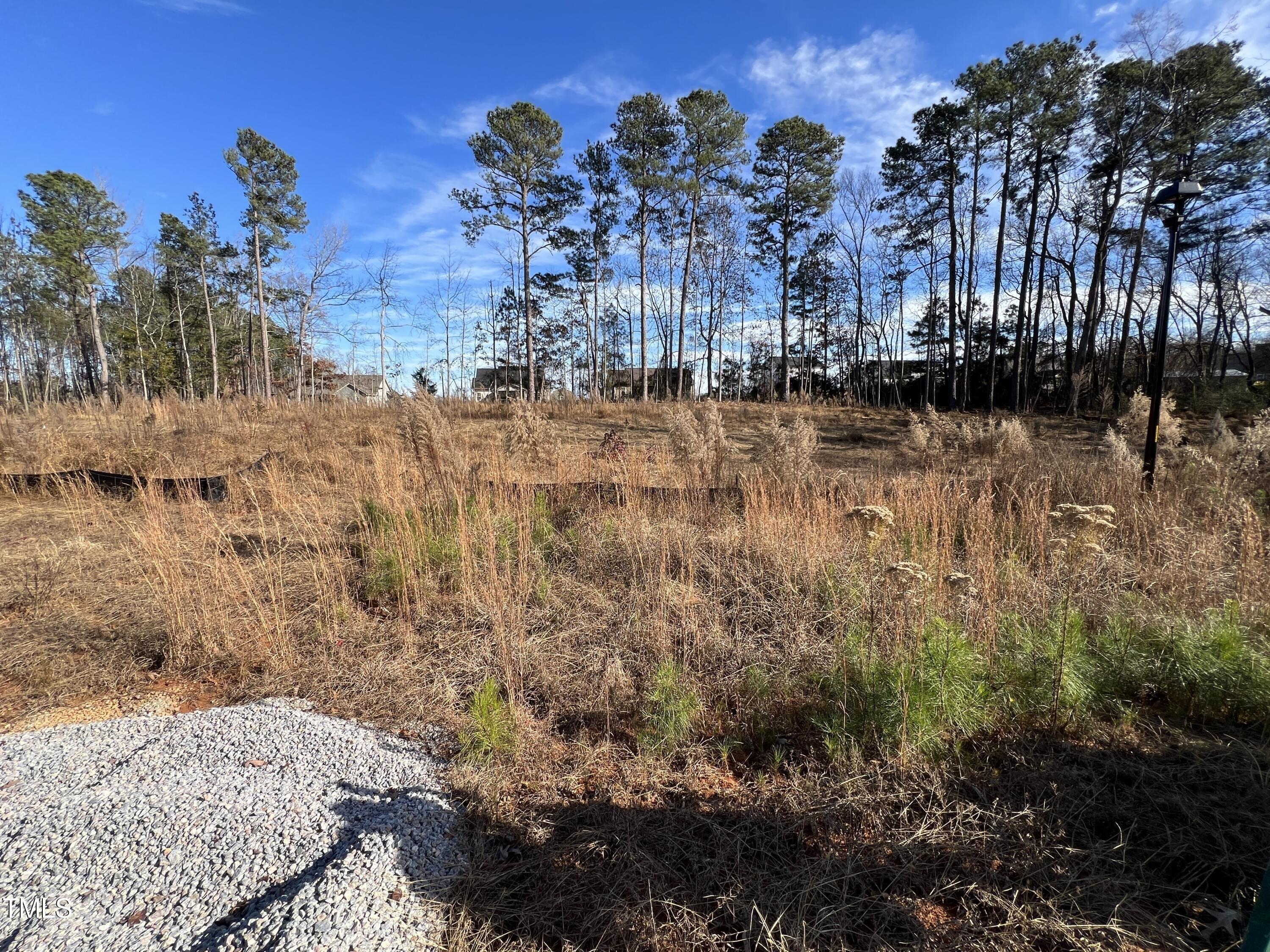 Hartwell Ct, Zebulon, NC 27597