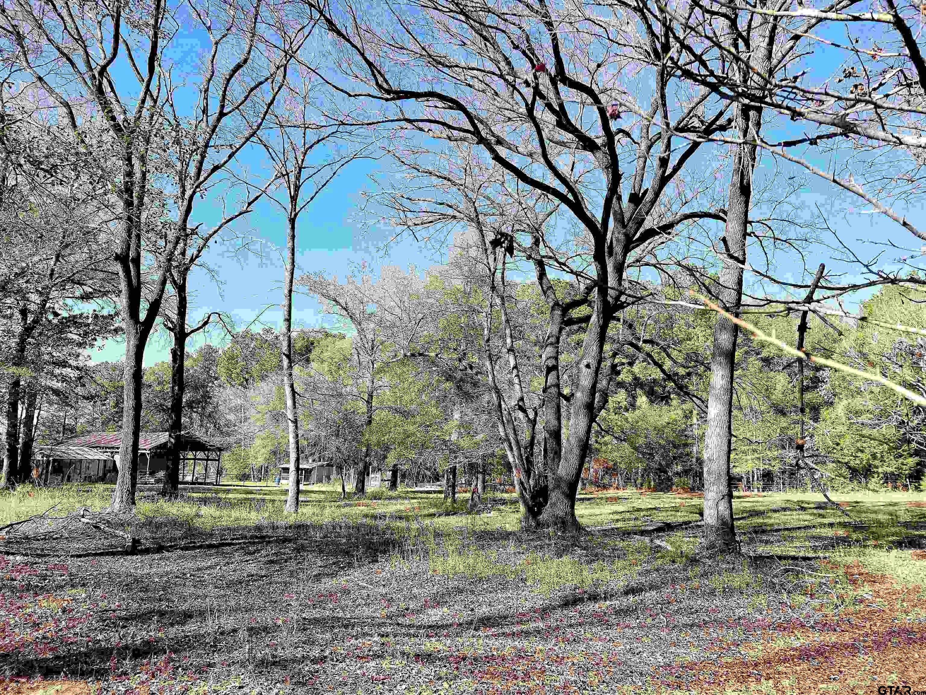 Fm 1643, Winnsboro, TX 75494