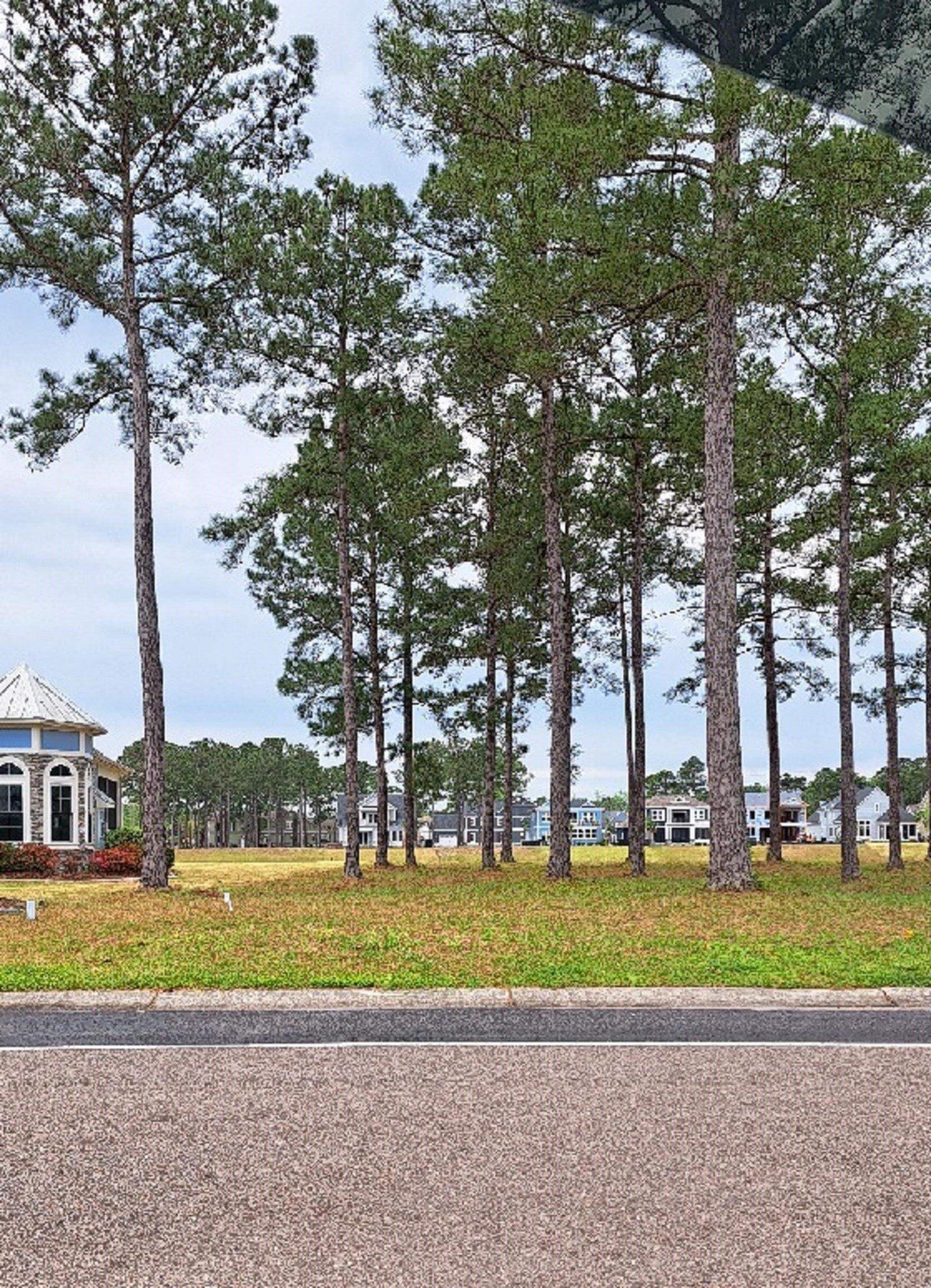 Waterbridge Blvd, Myrtle Beach, SC 29579