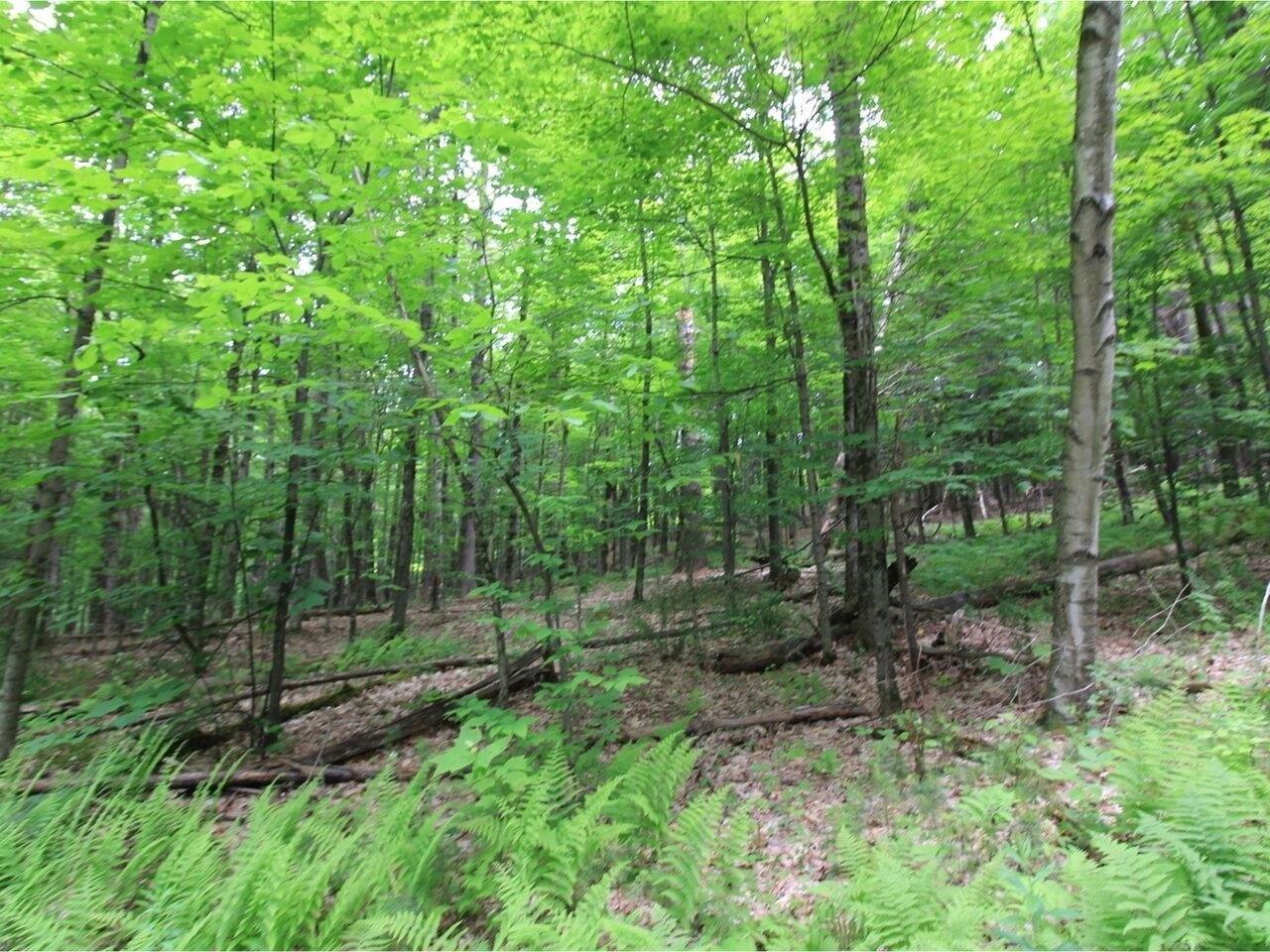 Piney Grove Ln, Underhill, VT 05489
