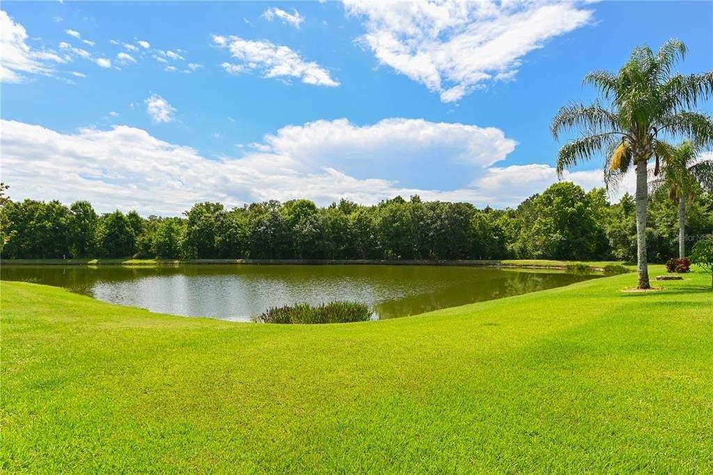 New Smyrna Dr, Wesley Chapel, FL 33544
