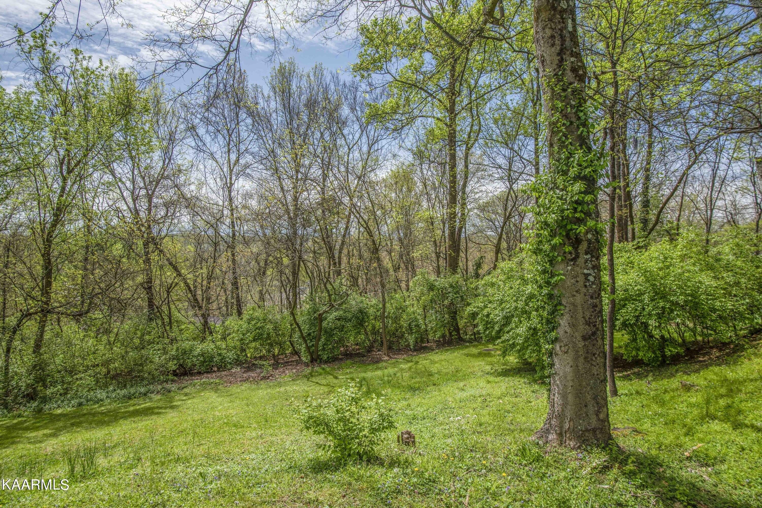 Black Oak Ridge Ln, Knoxville, TN 37918