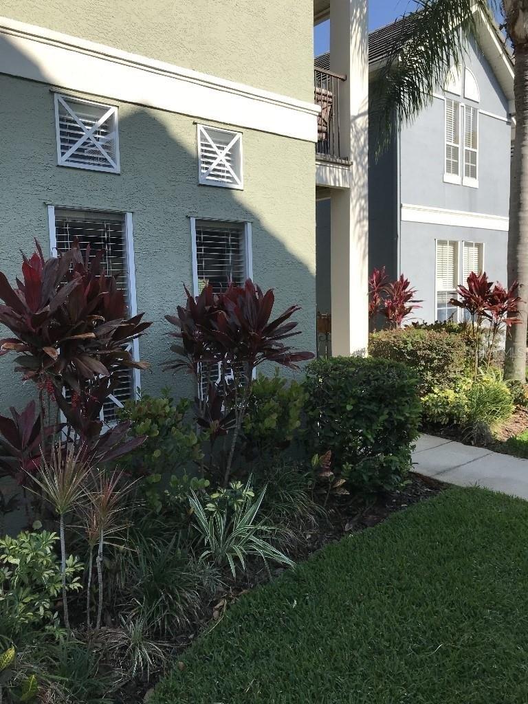 Foxtail Palm Ct, Tampa, FL 33624