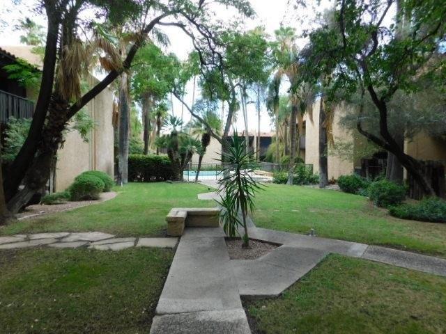 N Dodge Blvd, Tucson, AZ 85716