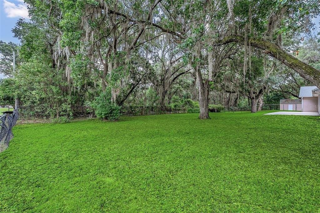 Lake Tohopekaliga Rd, Saint Cloud, FL 34772