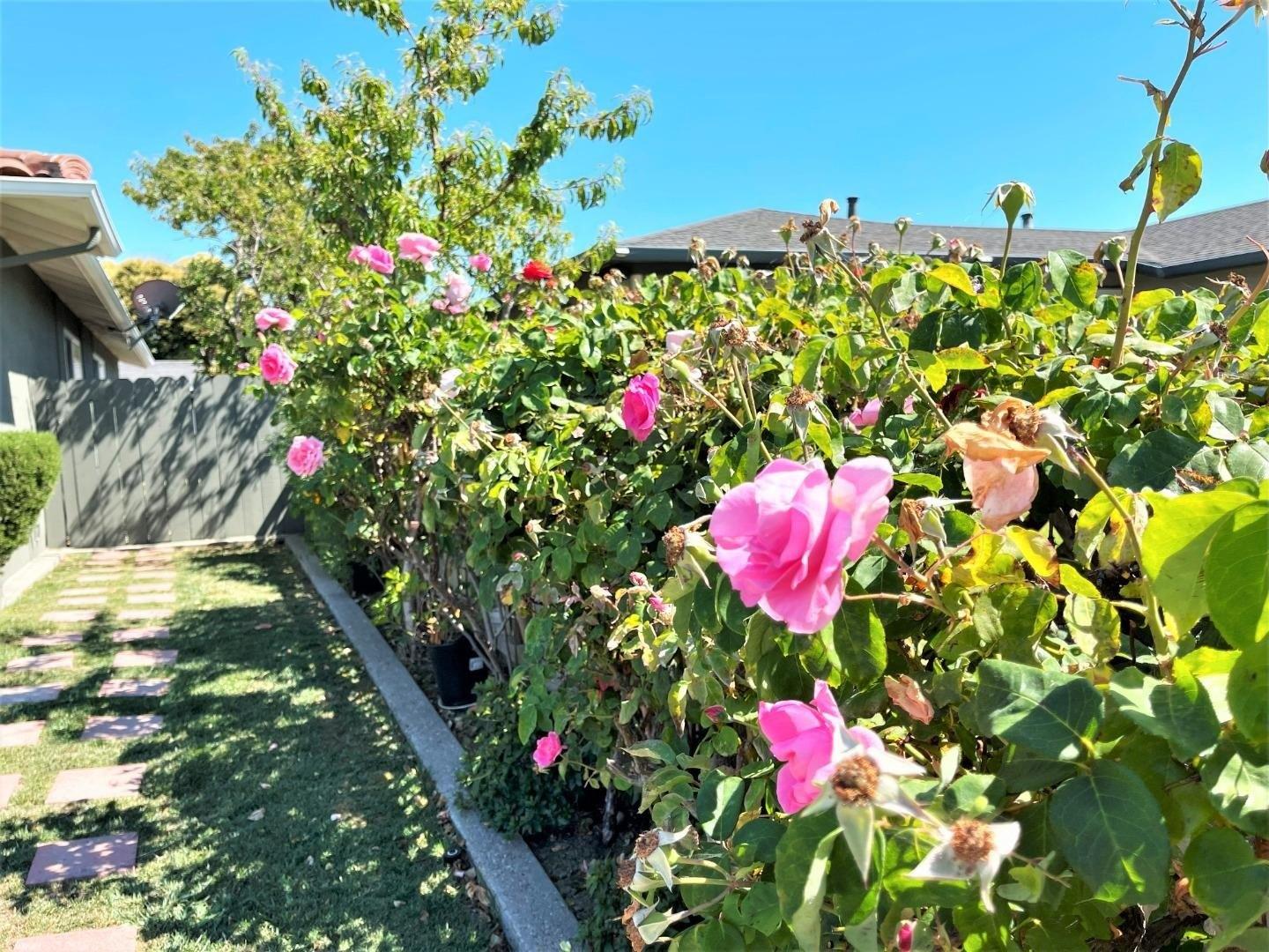 Robertson Ave, Newark, CA 94560