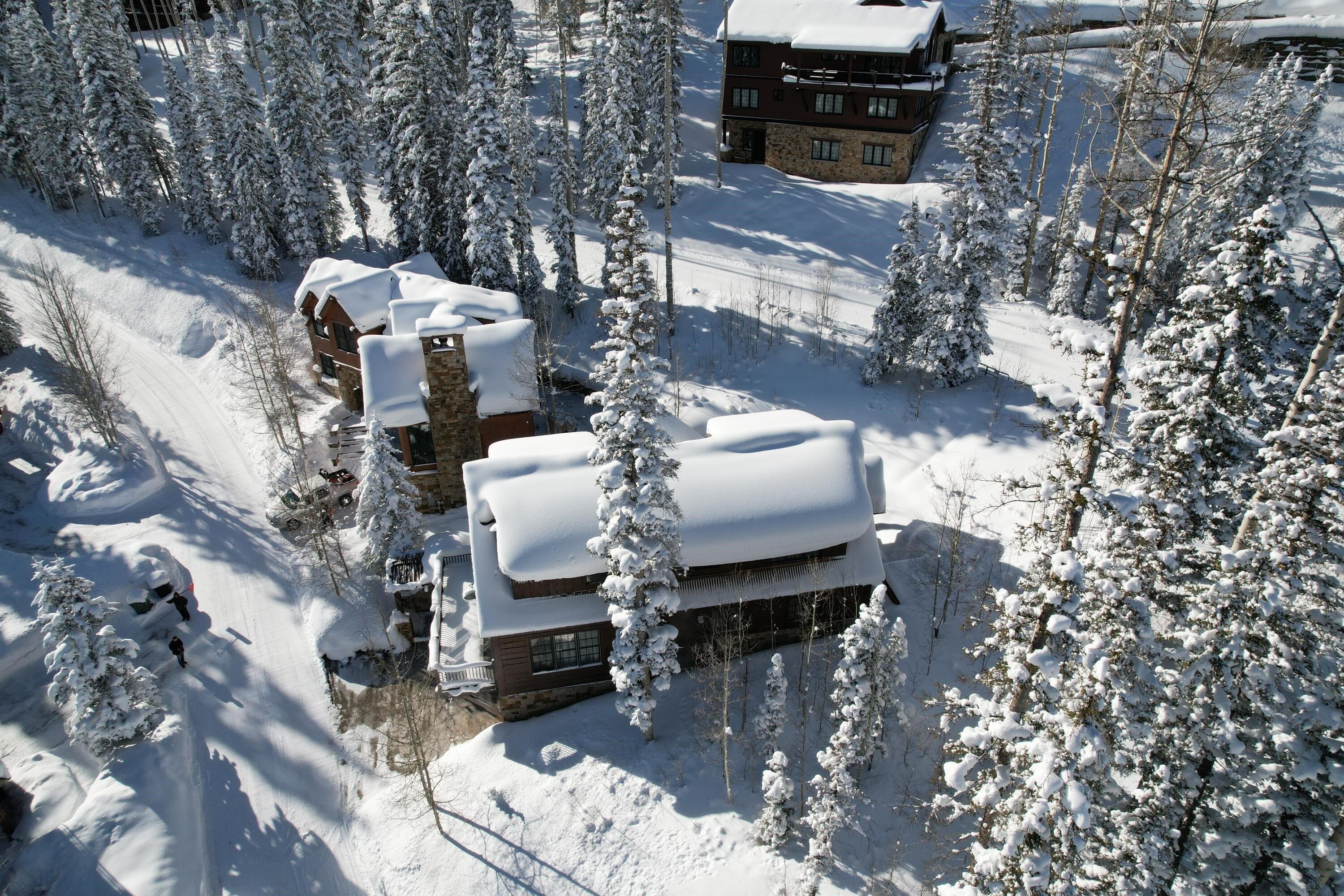 Cabins Ln, Telluride, CO 81435