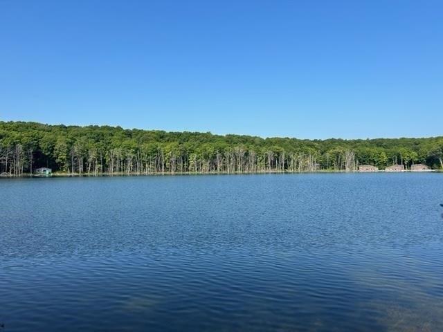 E Martin Lake Dr, Gaylord, MI 49735