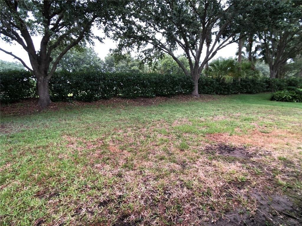 Holly Cone Dr, Riverview, FL 33569