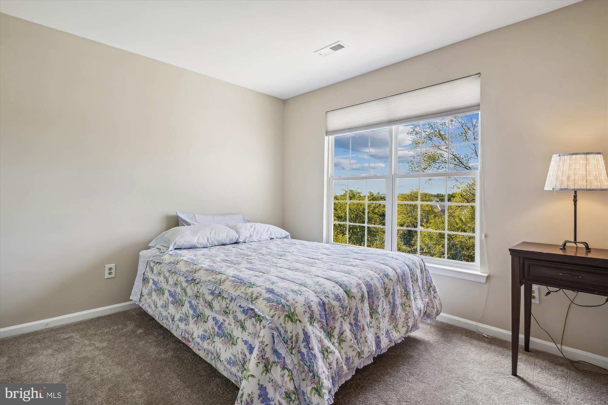 Santmyer Dr Se, Leesburg, VA 20175