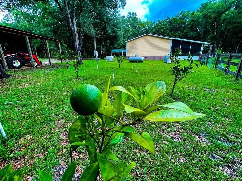 Se 157th Pl, Inglis, FL 34449